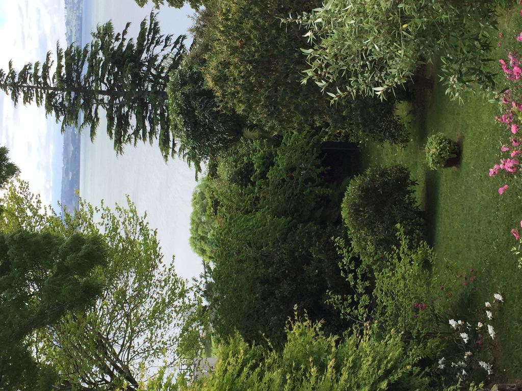 Lakeview Holiday Home Rotorua Bagian luar foto